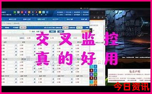 2025新澳天天开奖结果
