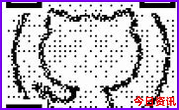云南都有哪些地方